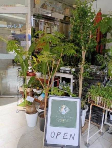 「フローリスト・レア」　（福岡県北九州市小倉北区）の花屋店舗写真3