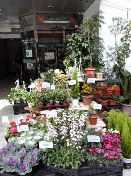 「フローリスト・レア」　（福岡県北九州市小倉北区）の花屋店舗写真2
